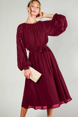 Sequin Embroidered Detail Midi Dress
