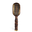 Tortoise