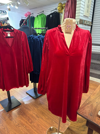 Velvet Ballon Sleeve Dress
