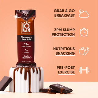 IQBAR - IQBAR Chocolate Sea Salt | Brain + Body Keto Protein Bars