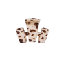 Blonde Tortoise