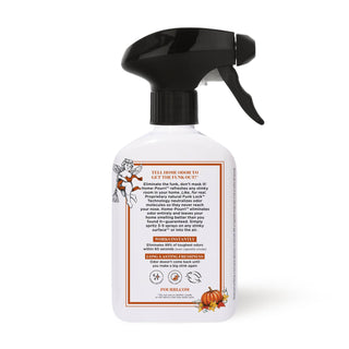 Home~Pourri Pumpkin Spice Air + Fabric Odor Eliminator Fall