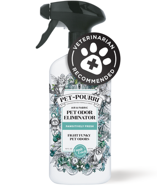 Pet odor eliminator spray bottle with black trigger sprayer, 16 fl oz