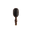 Tortoise