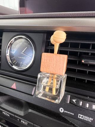 Fresh Mint + Eucalyptus Hanging Car Freshener Diffuser