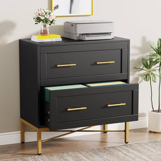 ShipItFurniture - Black Gold 2 Drawer Lateral File Cabinet For Home Office
