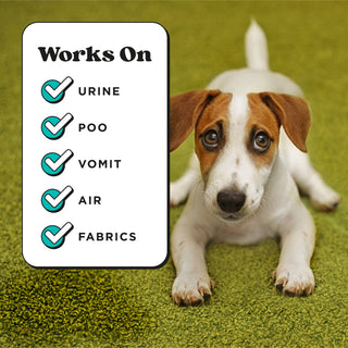 Pet odor eliminator spray bottle with black trigger sprayer; works on urine, poo, vomit