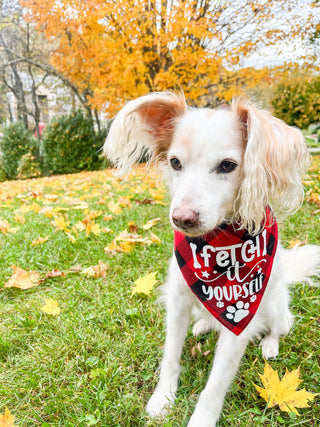 Large dog bandana in red with white 'FETCH YOURSELF' lettering