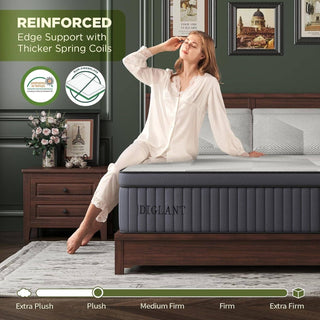 ShipItFurniture Queen Hybrid 14" Mattress Foam Comfort