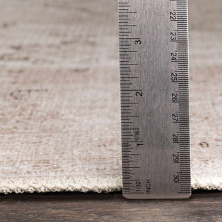 Hauteloom Bethany Washable Rug in Beige