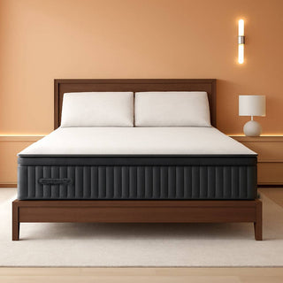 ShipItFurniture Queen Hybrid 14" Mattress Foam Comfort