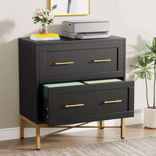 ShipItFurniture - Black Gold 2 Drawer Lateral File Cabinet For Home Office