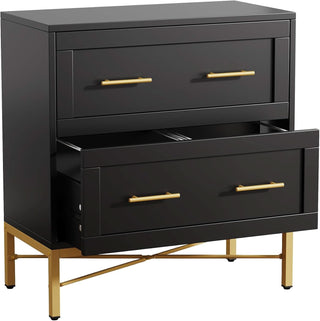 ShipItFurniture - Black Gold 2 Drawer Lateral File Cabinet For Home Office