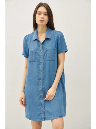 Chambray Dress