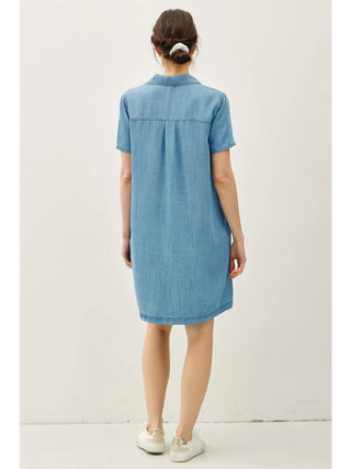 Chambray Dress