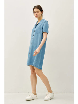 Chambray Dress