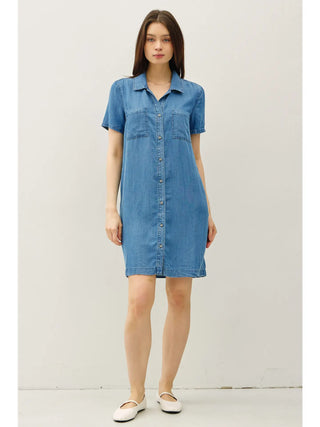 Chambray Dress