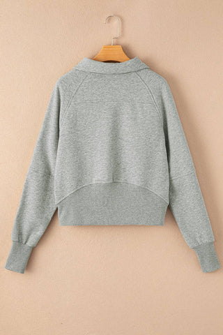 Reese Half Zip Thumbhole Sweatshirt: Gray / S