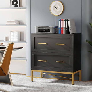 ShipItFurniture - Black Gold 2 Drawer Lateral File Cabinet For Home Office
