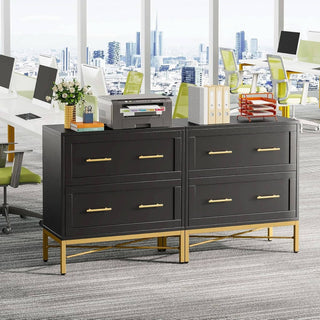 ShipItFurniture - Black Gold 2 Drawer Lateral File Cabinet For Home Office