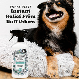 Pet odor eliminator spray bottle with black trigger, white 16 oz