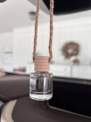 Fresh Mint + Eucalyptus Hanging Car Freshener Diffuser