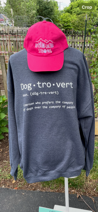 Dog-Tro-Vert Sweatshirt – Charcoal – product only