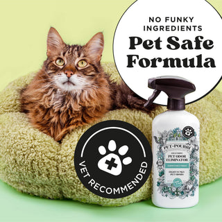 Pet Safe Formula pet odor eliminator spray bottle with black trigger sprayer