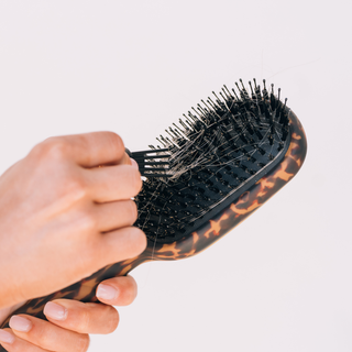 TELETIES - Boar Bristle Hair Brush | Tortoise