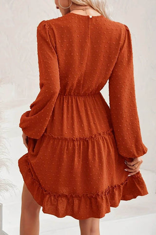 Lace Detail Swiss Dot Round Neck Mini Dress - Just Believe Boutique