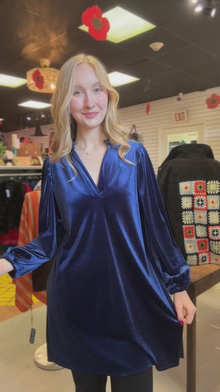 Carole Christian velvet balloon sleeve V-neck dress, video