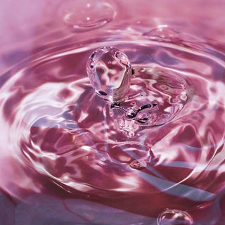 Signature Collection Eau De Parfum - Just Believe Boutique
