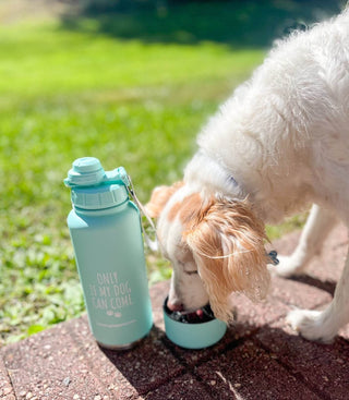Stainless Steel Water Bottle with Storage Compartment - Just Believe Boutique