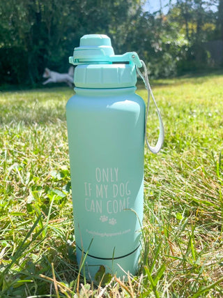 Stainless Steel Water Bottle with Storage Compartment - Just Believe Boutique